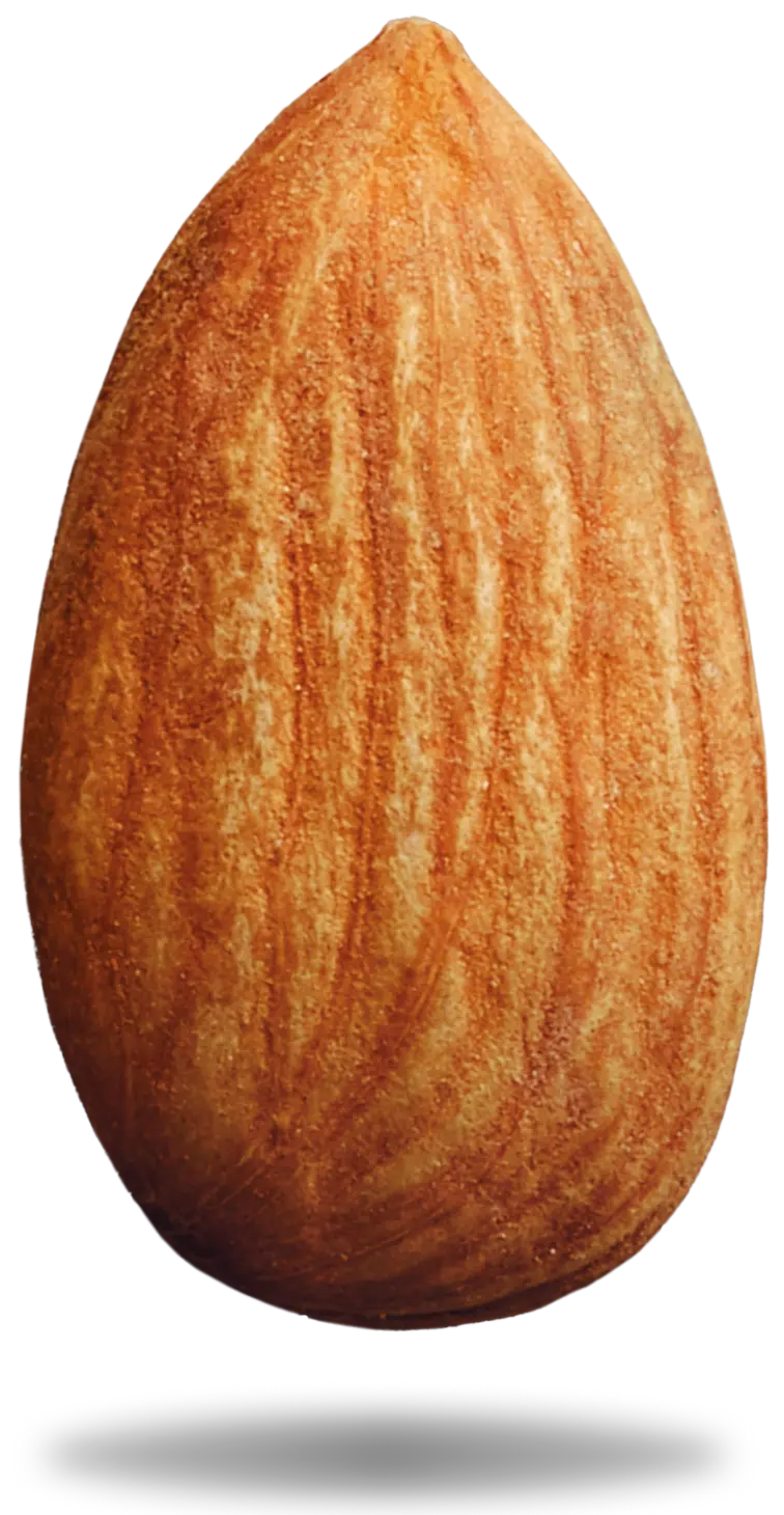 Almond