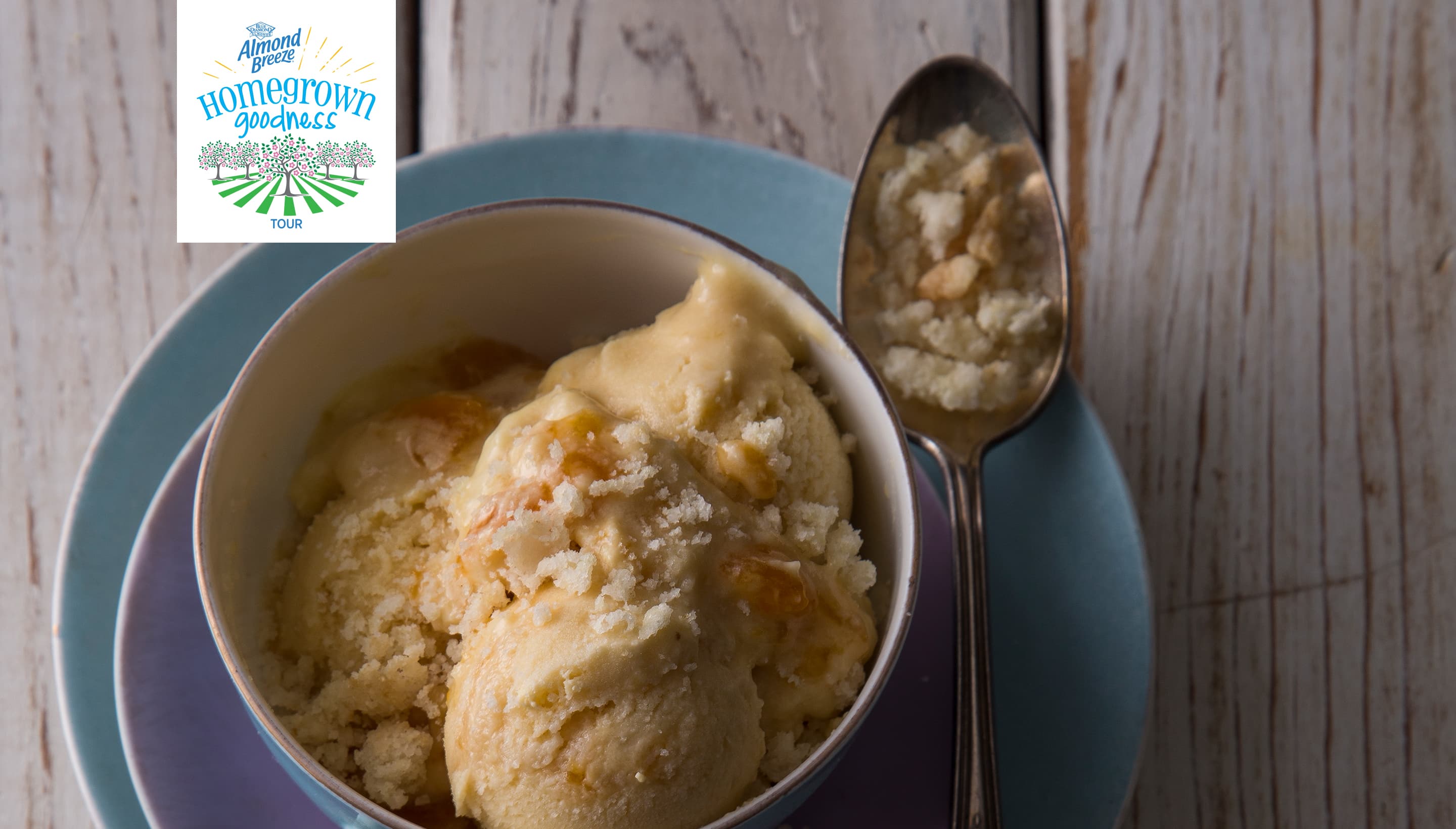 Georgia Peach Ice Cream | Blue Diamond