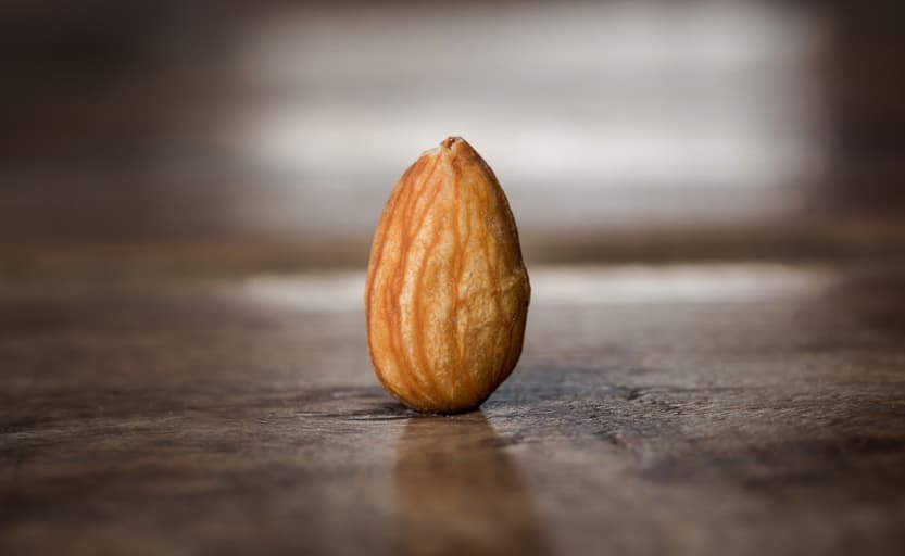 Single almond standing on its end