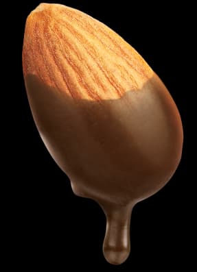 Half chocolate dipped almond
