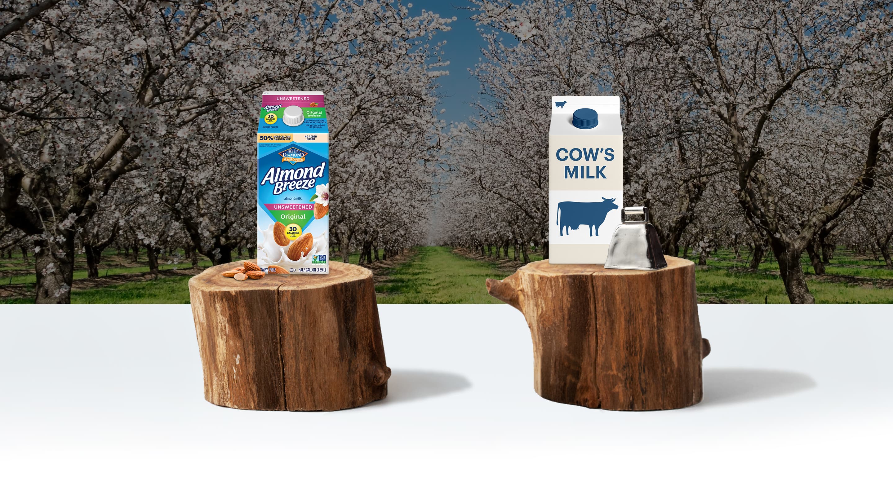 Almond milk and dairy milk cartons on tree stumps