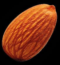 Almond nut
