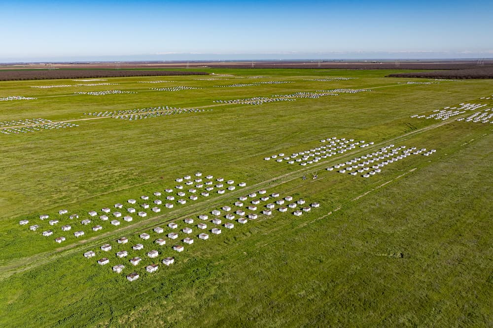 Hives Staged for Delivery in Western Fresno County