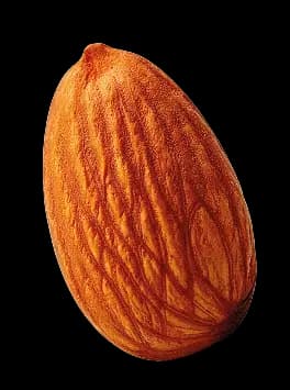 Single Almond
