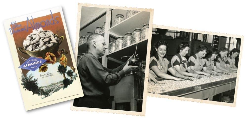 A vintage almond advertisement, a man filling glass jars in a pantry, and women sorting almonds on a conveyor belt in a processing facility.
