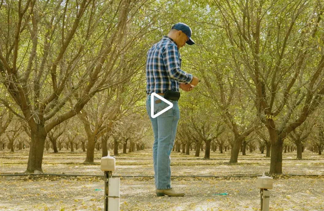 Grower Video Thumbnail - Salvador Parra Jr