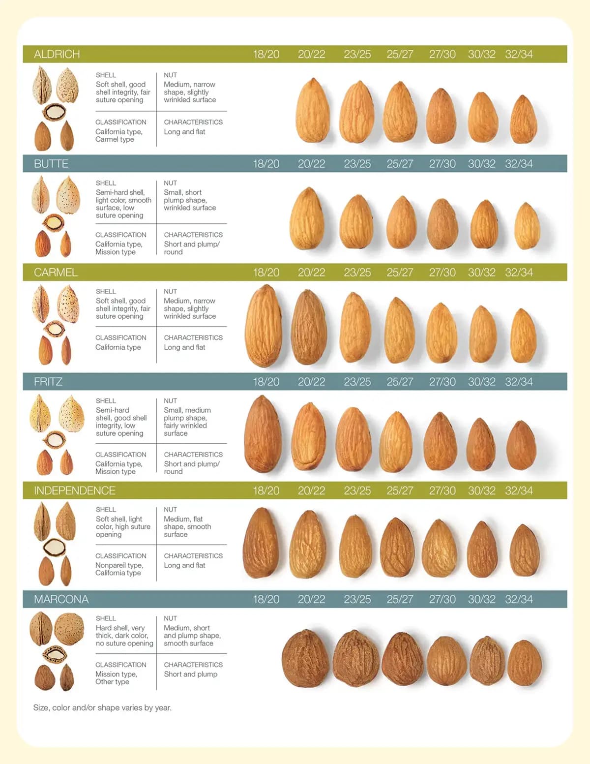 Almond Ingredients Varieties and Sizes Chart