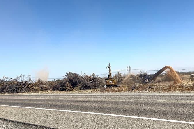 Heavy machinery removes and processes trees from an abandoned orchard beside a roadway, sending dust into the air.