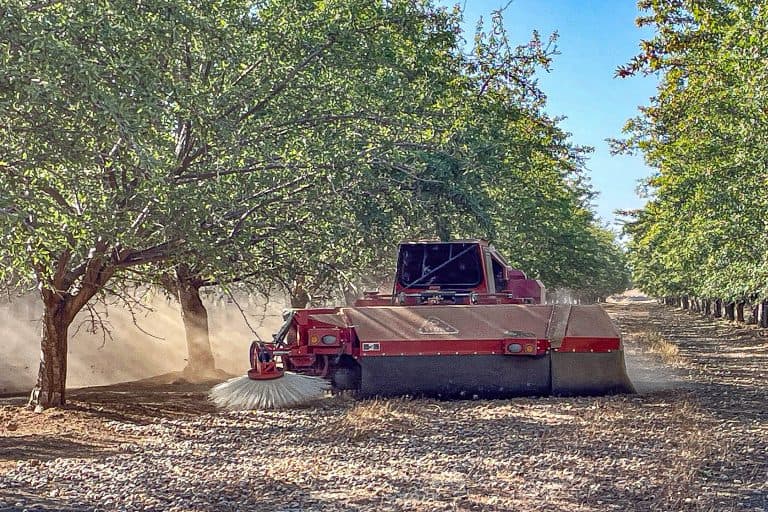 Red orchard sweeper travels between rows of almond trees, gathering harvested almonds from the ground and creating a cloud of dust.