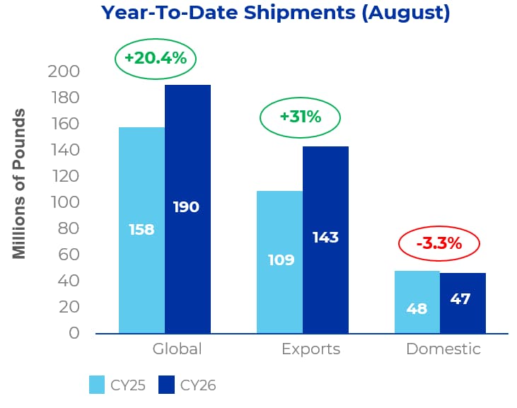 Bar chart showing year-to-date shipments in August: global up 20.4%, exports up 31%, domestic down 3.3%. Data compares CY25 and CY26 in millions of pounds.